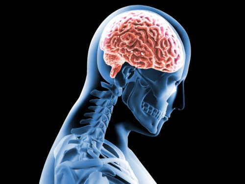 neck and brain whiplash concussion
